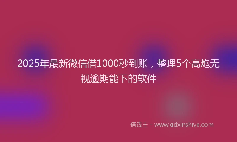 2025年最新微信借1000秒到账，整理5个高炮无视逾期能下的软件