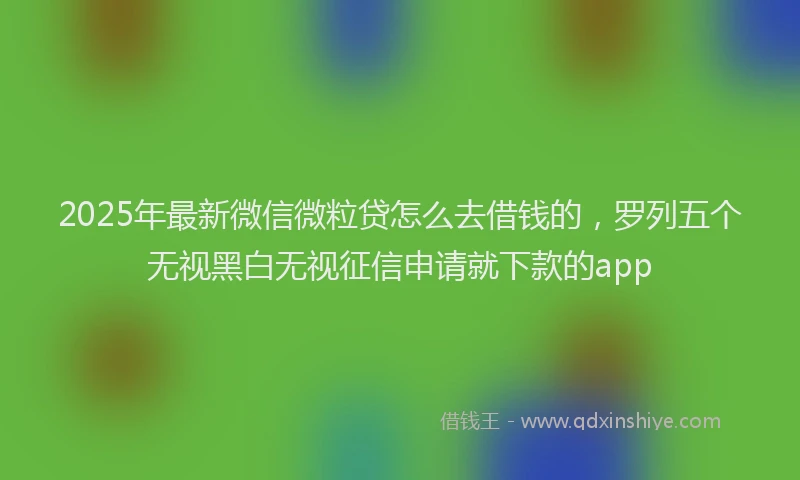 2025年最新微信微粒贷怎么去借钱的，罗列五个无视黑白无视征信申请就下款的app