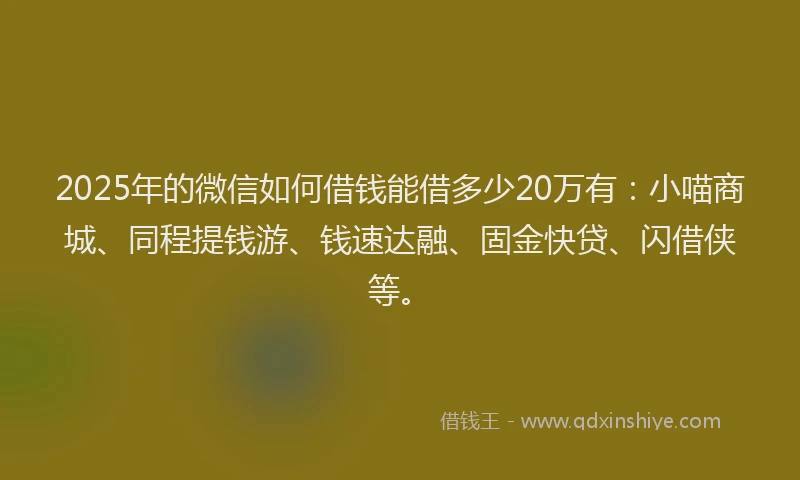 2025年的微信如何借钱能借多少20万有：小喵商城、同程提钱游、钱速达融、固金快贷、闪借侠等。