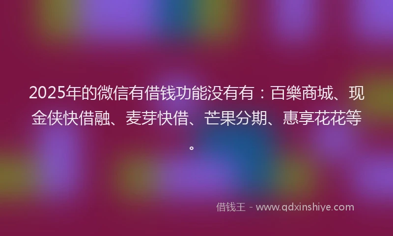 2025年的微信有借钱功能没有有：百樂商城、现金侠快借融、麦芽快借、芒果分期、惠享花花等。