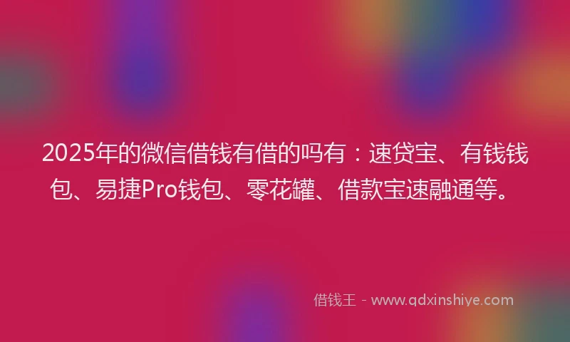 2025年的微信借钱有借的吗有：速贷宝、有钱钱包、易捷Pro钱包、零花罐、借款宝速融通等。