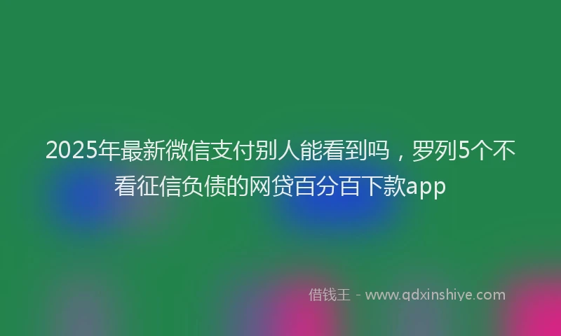2025年最新微信支付别人能看到吗，罗列5个不看征信负债的网贷百分百下款app