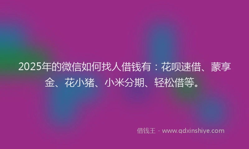2025年的微信如何找人借钱有：花呗速借、蒙享金、花小猪、小米分期、轻松借等。
