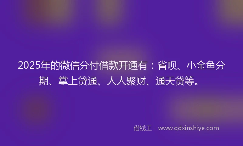 2025年的微信分付借款开通有：省呗、小金鱼分期、掌上贷通、人人聚财、通天贷等。