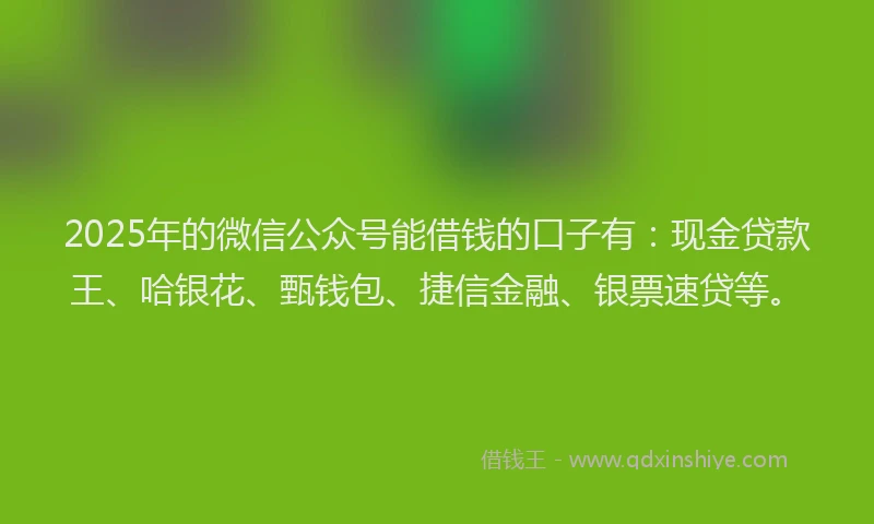 2025年的微信公众号能借钱的口子有：现金贷款王、哈银花、甄钱包、捷信金融、银票速贷等。