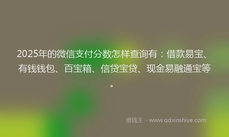 2025年的微信支付分数怎样查询有：借款易宝、有钱钱包、百宝箱、信贷宝贷、现金易融通宝等。