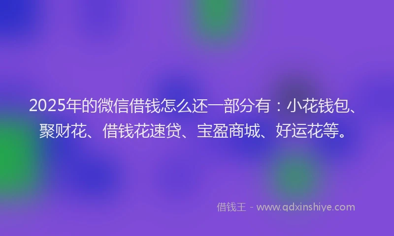 2025年的微信借钱怎么还一部分有：小花钱包、聚财花、借钱花速贷、宝盈商城、好运花等。