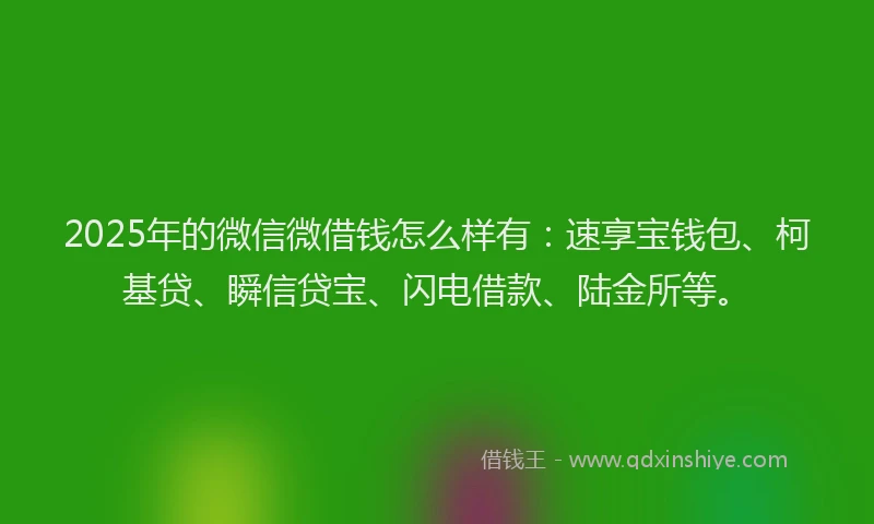2025年的微信微借钱怎么样有：速享宝钱包、柯基贷、瞬信贷宝、闪电借款、陆金所等。