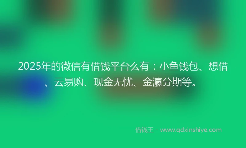 2025年的微信有借钱平台么有：小鱼钱包、想借、云易购、现金无忧、金瀛分期等。