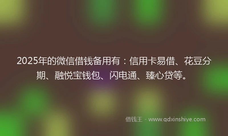 2025年的微信借钱备用有：信用卡易借、花豆分期、融悦宝钱包、闪电通、臻心贷等。