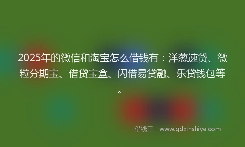 2025年的微信和淘宝怎么借钱有：洋葱速贷、微粒分期宝、借贷宝盒、闪借易贷融、乐贷钱包等。