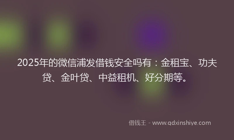 2025年的微信浦发借钱安全吗有：金租宝、功夫贷、金叶贷、中益租机、好分期等。