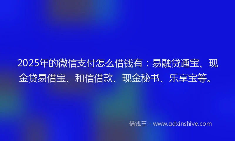 2025年的微信支付怎么借钱有：易融贷通宝、现金贷易借宝、和信借款、现金秘书、乐享宝等。