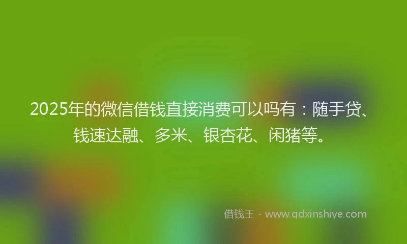2025年的微信借钱直接消费可以吗有：随手贷、钱速达融、多米、银杏花、闲猪等。