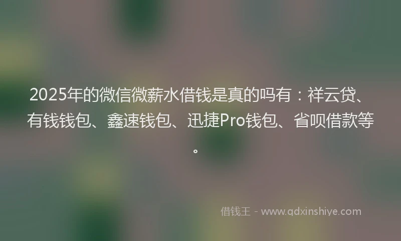 2025年的微信微薪水借钱是真的吗有：祥云贷、有钱钱包、鑫速钱包、迅捷Pro钱包、省呗借款等。