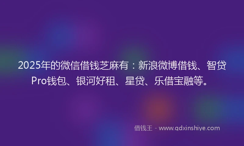2025年的微信借钱芝麻有：新浪微博借钱、智贷Pro钱包、银河好租、星贷、乐借宝融等。