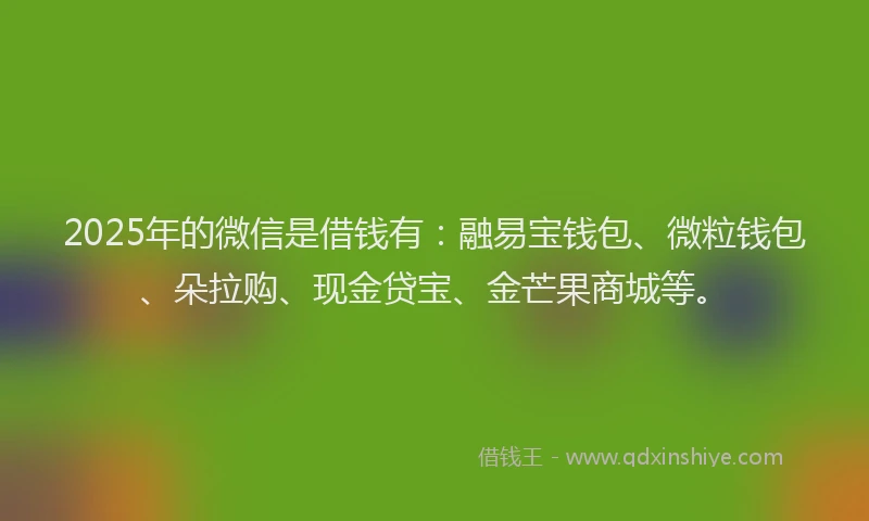 2025年的微信是借钱有：融易宝钱包、微粒钱包、朵拉购、现金贷宝、金芒果商城等。