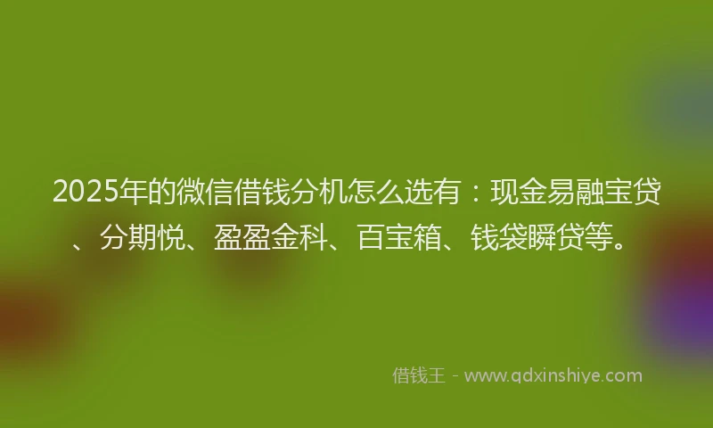 2025年的微信借钱分机怎么选有：现金易融宝贷、分期悦、盈盈金科、百宝箱、钱袋瞬贷等。