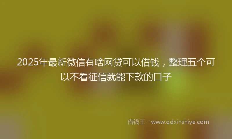 2025年最新微信有啥网贷可以借钱，整理五个可以不看征信就能下款的口子