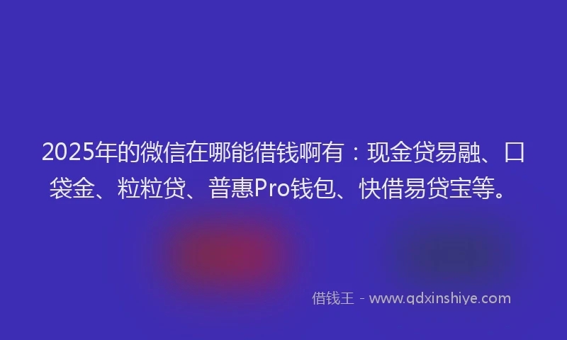 2025年的微信在哪能借钱啊有：现金贷易融、口袋金、粒粒贷、普惠Pro钱包、快借易贷宝等。
