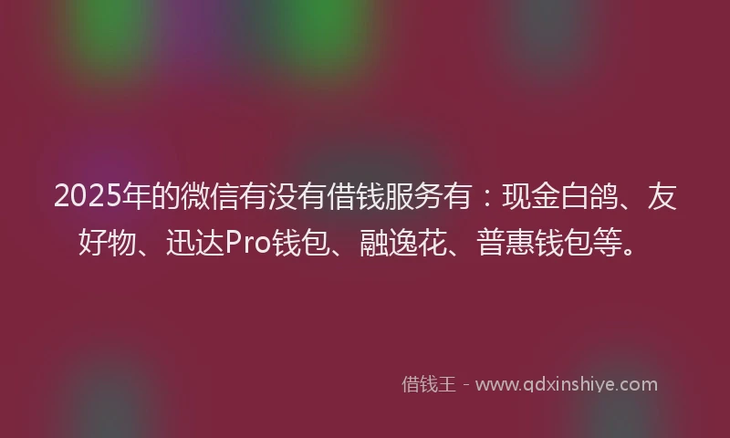 2025年的微信有没有借钱服务有：现金白鸽、友好物、迅达Pro钱包、融逸花、普惠钱包等。