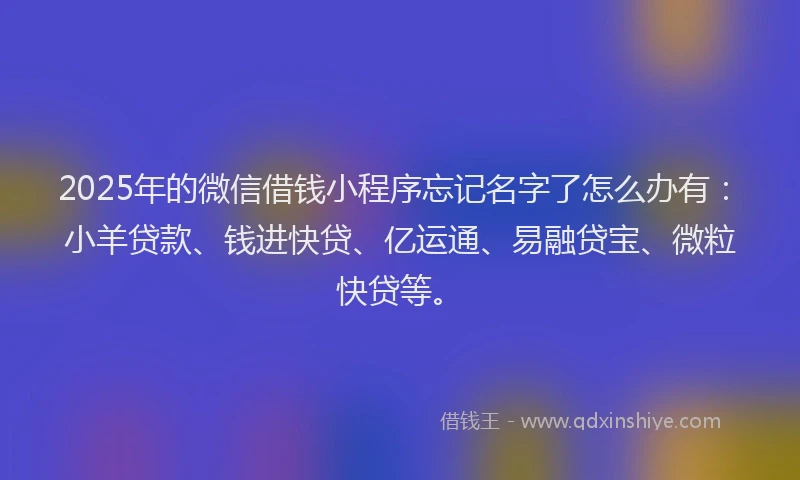 2025年的微信借钱小程序忘记名字了怎么办有：小羊贷款、钱进快贷、亿运通、易融贷宝、微粒快贷等。