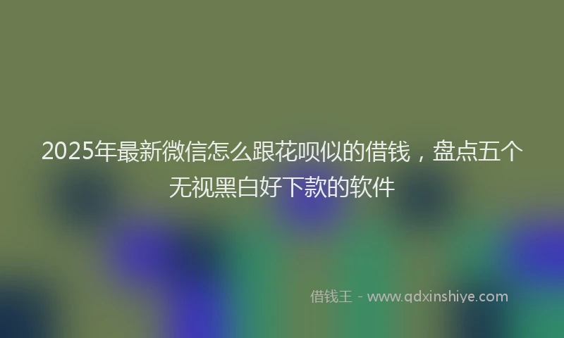 2025年最新微信怎么跟花呗似的借钱，盘点五个无视黑白好下款的软件