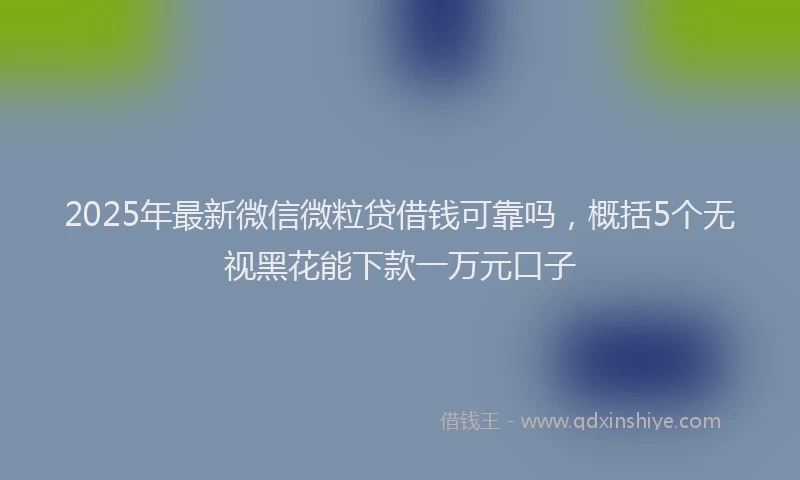2025年最新微信微粒贷借钱可靠吗，概括5个无视黑花能下款一万元口子
