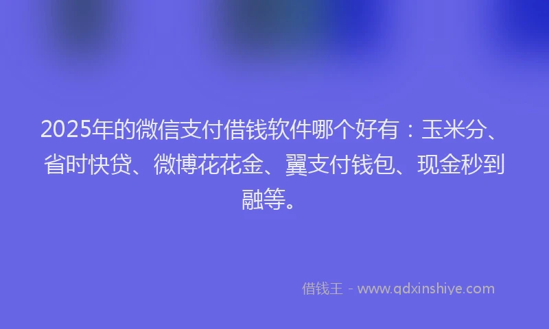 2025年的微信支付借钱软件哪个好有：玉米分、省时快贷、微博花花金、翼支付钱包、现金秒到融等。