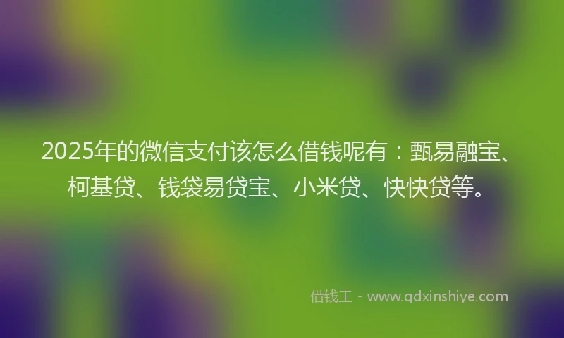 2025年的微信支付该怎么借钱呢有：甄易融宝、柯基贷、钱袋易贷宝、小米贷、快快贷等。