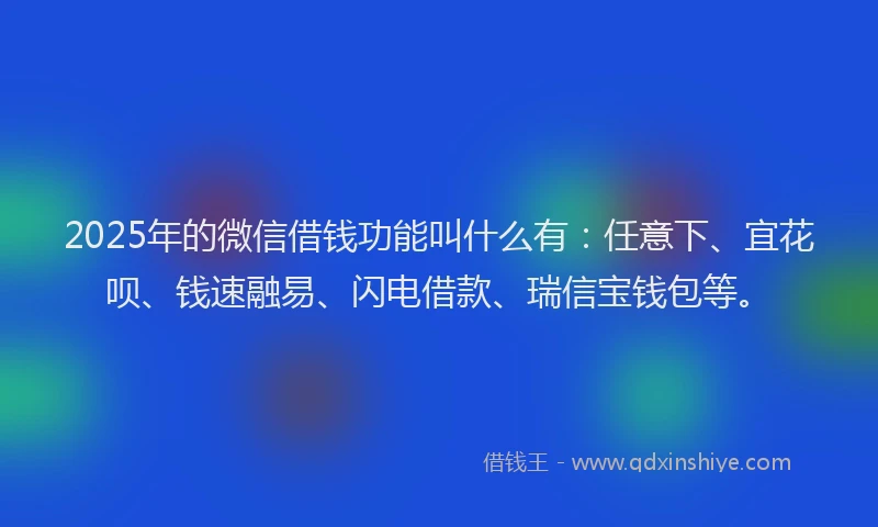 2025年的微信借钱功能叫什么有：任意下、宜花呗、钱速融易、闪电借款、瑞信宝钱包等。