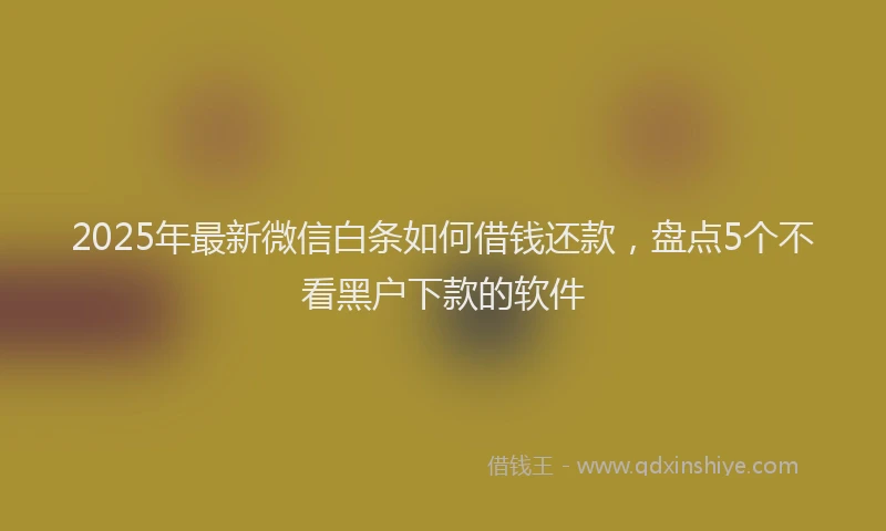 2025年最新微信白条如何借钱还款，盘点5个不看黑户下款的软件