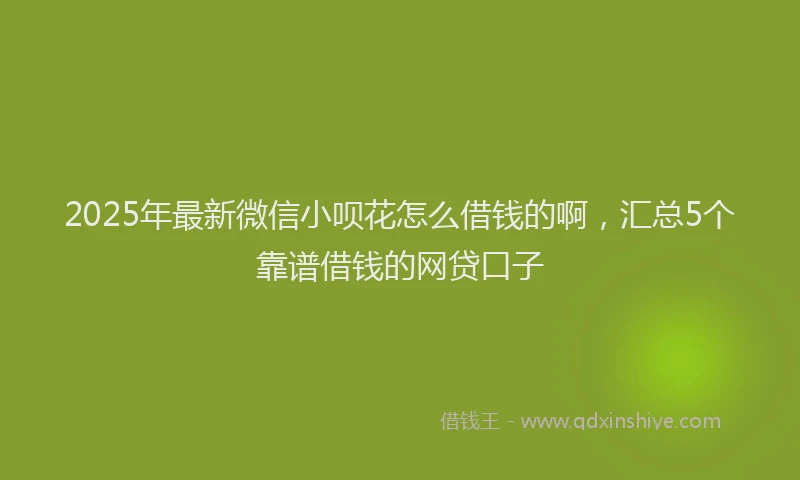 2025年最新微信小呗花怎么借钱的啊，汇总5个靠谱借钱的网贷口子