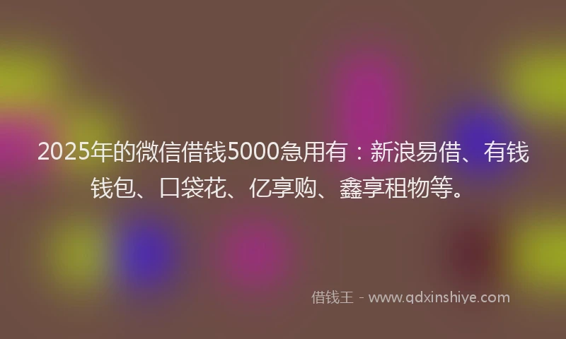2025年的微信借钱5000急用有：新浪易借、有钱钱包、口袋花、亿享购、鑫享租物等。