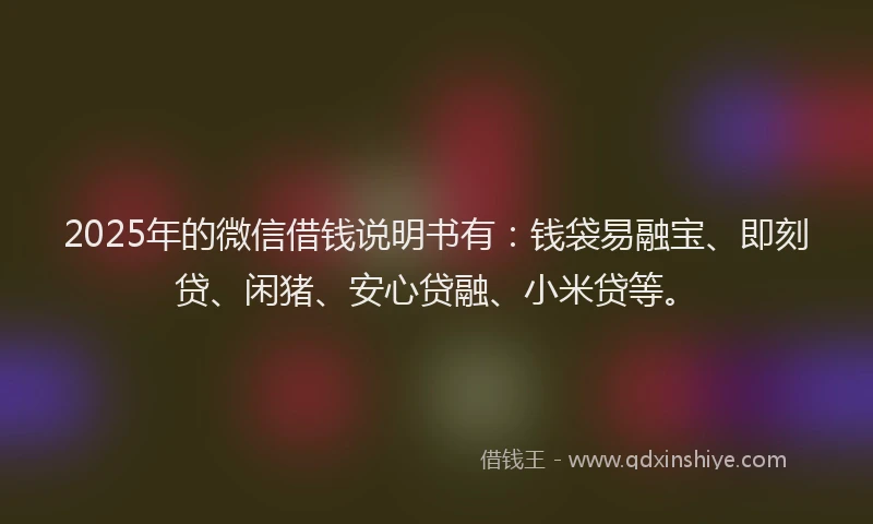 2025年的微信借钱说明书有：钱袋易融宝、即刻贷、闲猪、安心贷融、小米贷等。