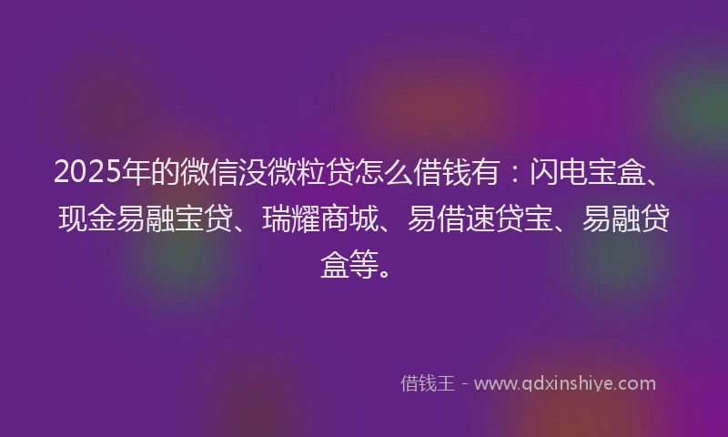 2025年的微信没微粒贷怎么借钱有：闪电宝盒、现金易融宝贷、瑞耀商城、易借速贷宝、易融贷盒等。