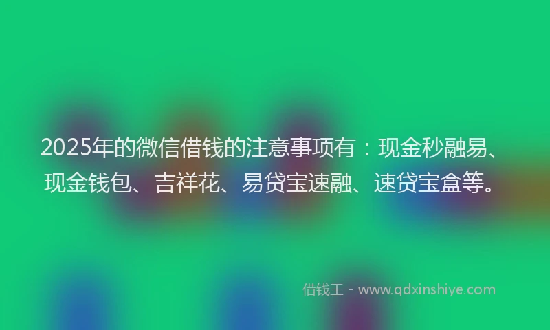 2025年的微信借钱的注意事项有：现金秒融易、现金钱包、吉祥花、易贷宝速融、速贷宝盒等。