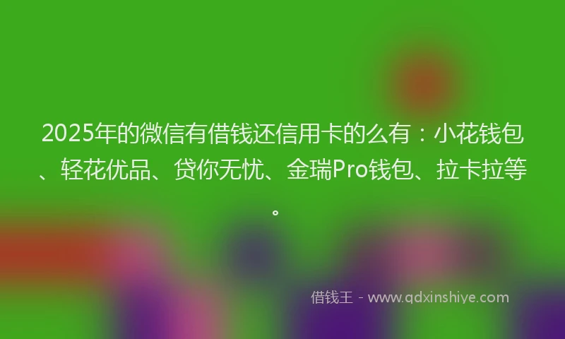 2025年的微信有借钱还信用卡的么有：小花钱包、轻花优品、贷你无忧、金瑞Pro钱包、拉卡拉等。