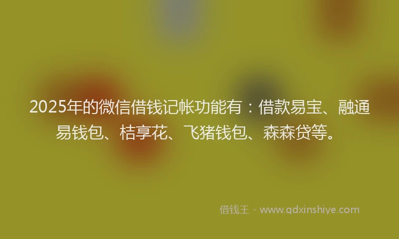 2025年的微信借钱记帐功能有：借款易宝、融通易钱包、桔享花、飞猪钱包、森森贷等。