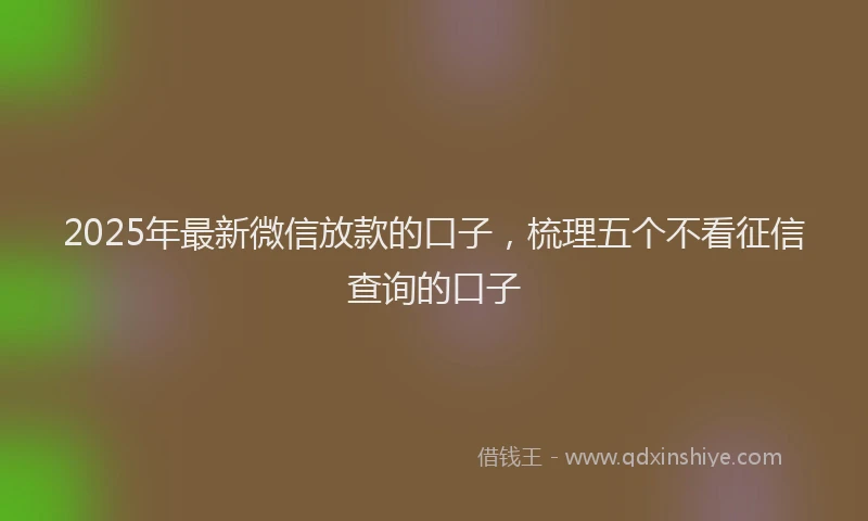 2025年最新微信放款的口子，梳理五个不看征信查询的口子
