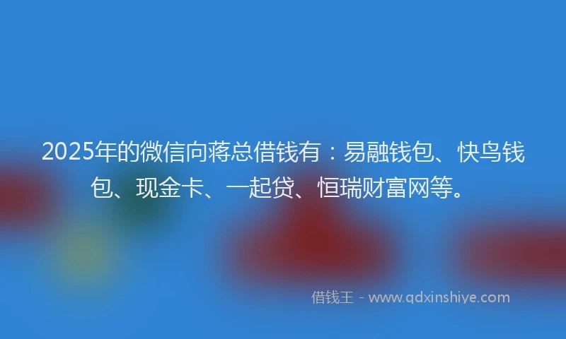 2025年的微信向蒋总借钱有：易融钱包、快鸟钱包、现金卡、一起贷、恒瑞财富网等。