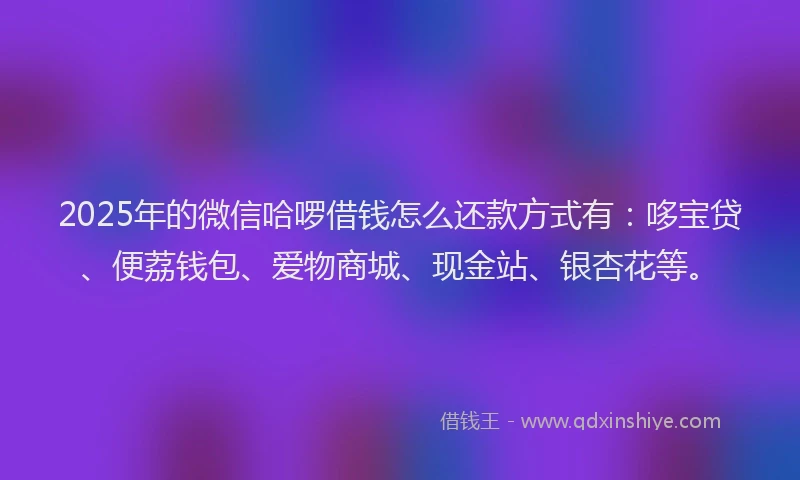 2025年的微信哈啰借钱怎么还款方式有：哆宝贷、便荔钱包、爱物商城、现金站、银杏花等。