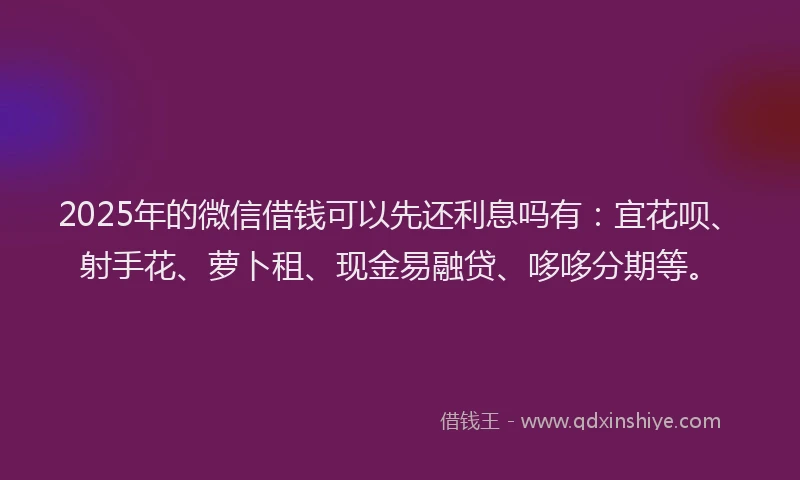 2025年的微信借钱可以先还利息吗有：宜花呗、射手花、萝卜租、现金易融贷、哆哆分期等。