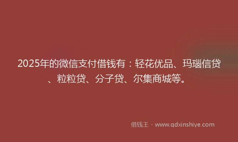2025年的微信支付借钱有：轻花优品、玛瑙信贷、粒粒贷、分子贷、尔集商城等。