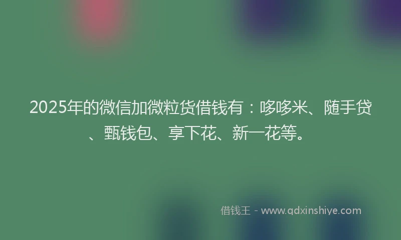 2025年的微信加微粒货借钱有：哆哆米、随手贷、甄钱包、享下花、新一花等。