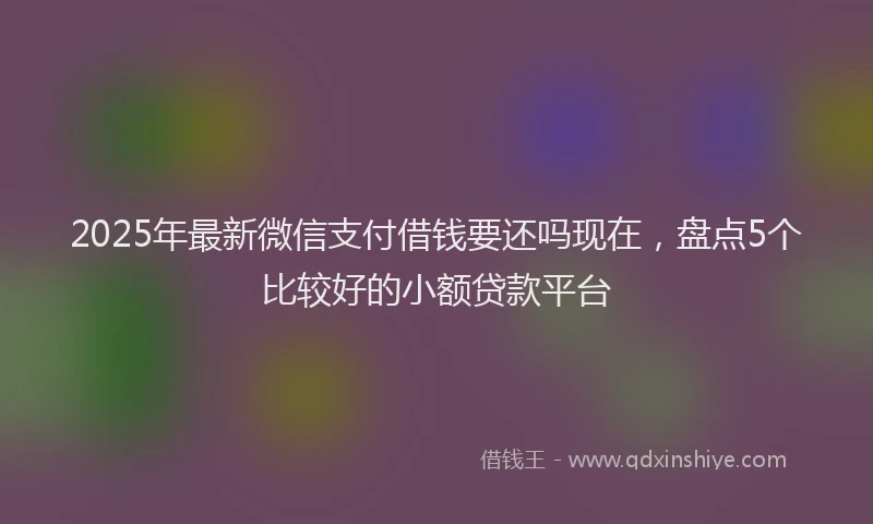 2025年最新微信支付借钱要还吗现在，盘点5个比较好的小额贷款平台