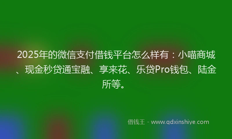 2025年的微信支付借钱平台怎么样有：小喵商城、现金秒贷通宝融、享来花、乐贷Pro钱包、陆金所等。