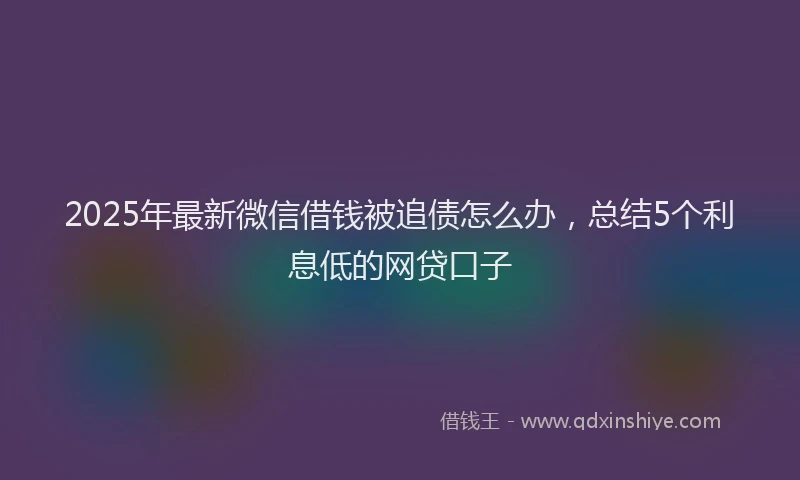 2025年最新微信借钱被追债怎么办，总结5个利息低的网贷口子