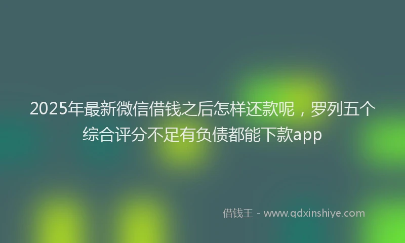 2025年最新微信借钱之后怎样还款呢，罗列五个综合评分不足有负债都能下款app