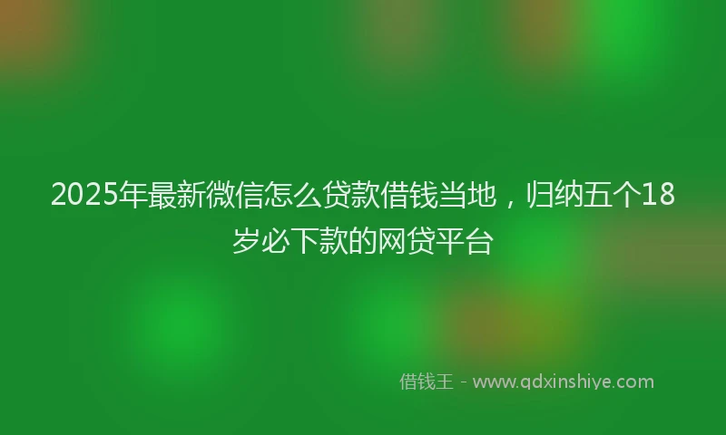 2025年最新微信怎么贷款借钱当地，归纳五个18岁必下款的网贷平台